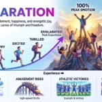 Synonyms of Exhilaration